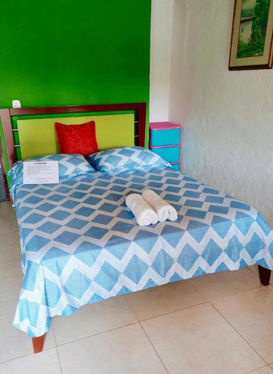 Hostal Bamboo Salento Exteriér fotografie