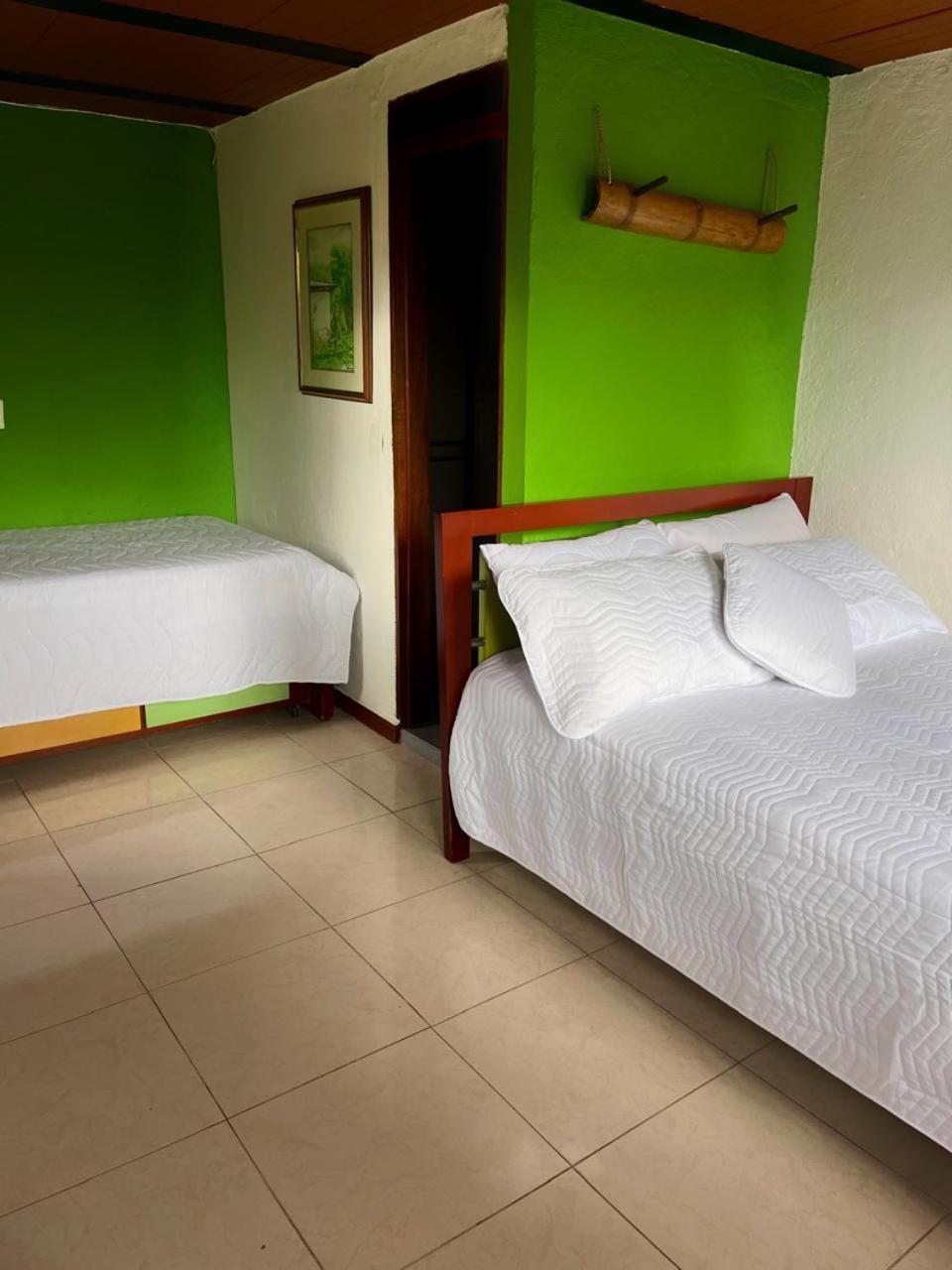 Hostal Bamboo Salento Exteriér fotografie